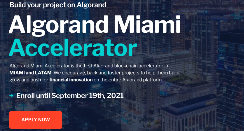 Algorand Miami Accelerator